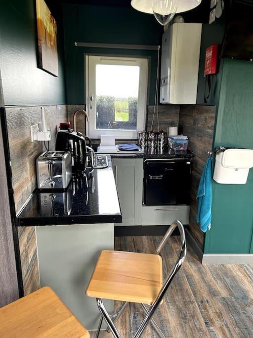 The Potter'S Rest, A Cosy Wee Cabin In The Highlands Watten エクステリア 写真